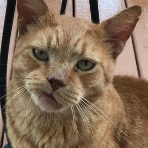 Meet your Posher, Katrina